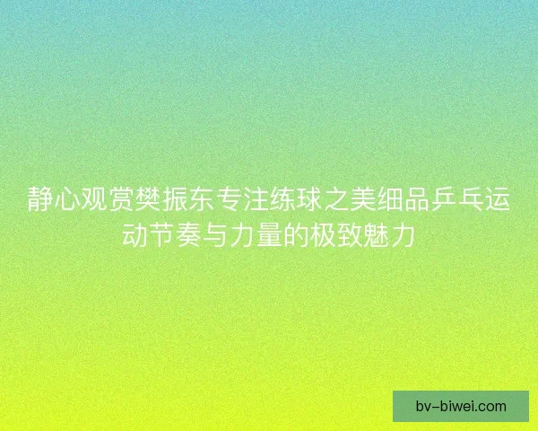 静心观赏樊振东专注练球之美细品乒乓运动节奏与力量的极致魅力